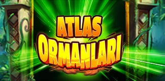 Atlas Ormanları