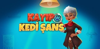 Kayıp Kedi Şans