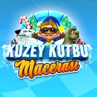 Kuzey Kutbu Macerası
