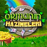 Ormanın Hazineleri