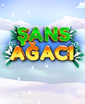 Şans Ağacı