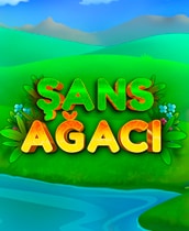 Şans Ağacı