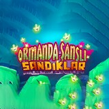 Ormanda Şanslı Sandıklar