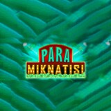 Para Mıknatısı
