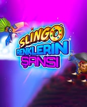 Slingo Renklerin Şansı